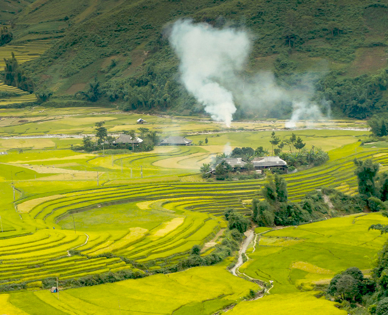 Cánh đồng Tú Lệ 